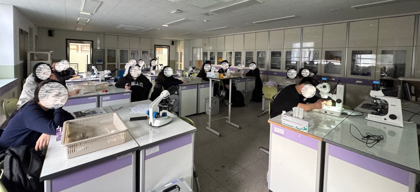 [2025] 수업 초파리유충 침샘염색체 관찰1 사진 1